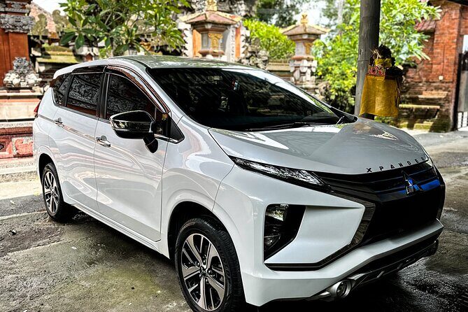 Bali Private Car Full Day Customized Tour With Drone Service - Price and value: $33 per person can be a win