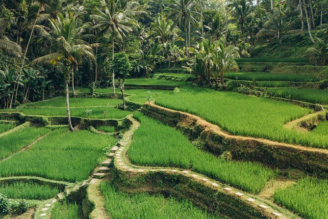 Bali Private Car Full Day Customized Tour With Drone Service - Stop-by-stop: what to expect and what to watch for