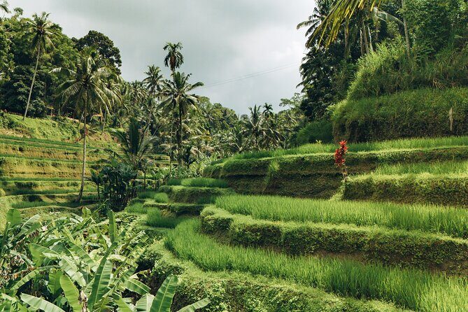 Bali Private Car Full Day Customized Tour With Drone Service - Drone service reality check: how to get the most footage