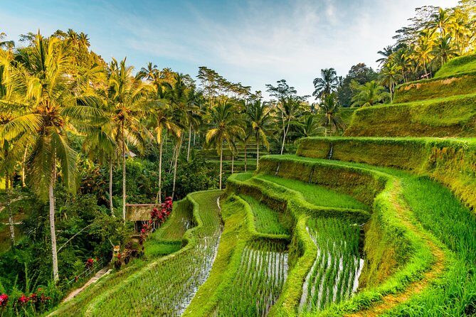 Bali Private Car Hire with Driver - Saraswati Temple and Ubud’s temple culture vibe