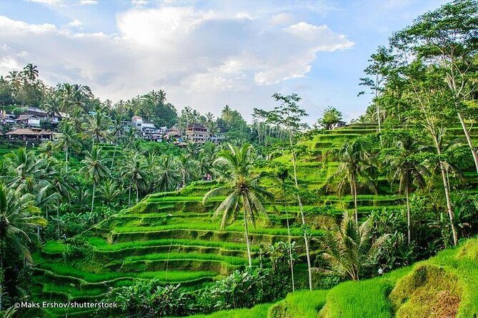 Bali Private inclusive tour: Best of Ubud in a Day - Batuan Temple: A Village Stop Built in Isaka 944
