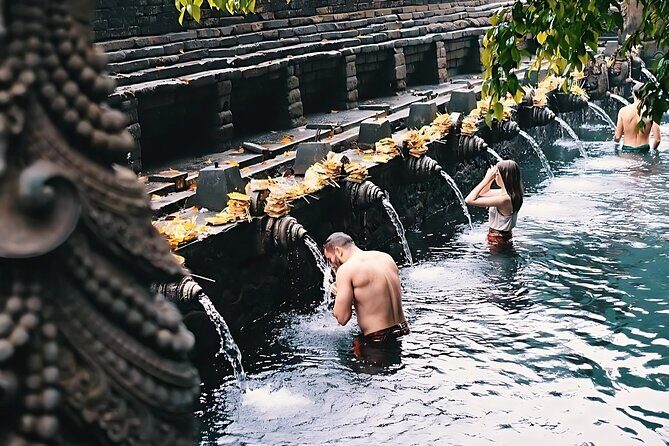 Bali private Shore Excursion from Benoa Port - All Inclusive - Tegalalang rice terraces: the view is famous for a reason