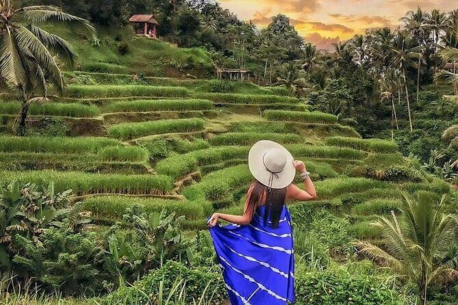 Bali Private Tour - Best of Ubud - All Inclusive - Tegalalang Rice Terrace: photography without turning the day into a sprint