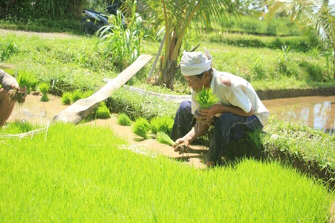 Bali Quad and Buggy Discovery Tour, Including Round-Trip Transfer - The Off-Road Route: Villages, Muddy Jungle Tracks, Rice Fields, and Plantations