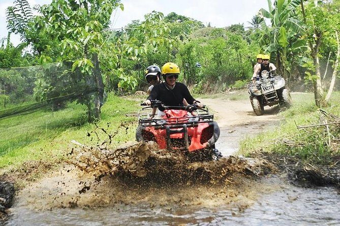 Bali Quad Bike Through Gorilla Cave - Monkey Forest and Waterfall - Final call: should you book this Bali day trip?