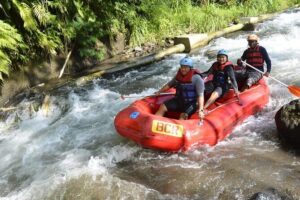 Bali Rafting - The scenery stops that make it more than just rafting