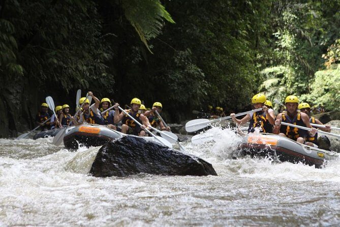 Bali Rafting Ubud with Lunch - The Ayung River Rapids: Built for First-Time Paddlers
