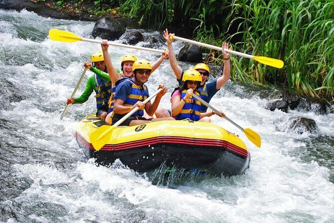 Bali Rafting Ubud with Lunch - What You’ll Paddle Past: Rice Fields, Forest, Cliffs, and Waterfalls