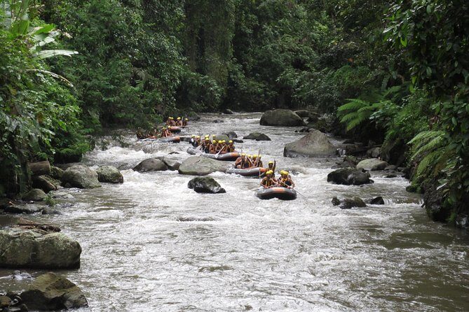 Bali Rafting Ubud with Lunch - Who This Rafting + Lunch Is Best For