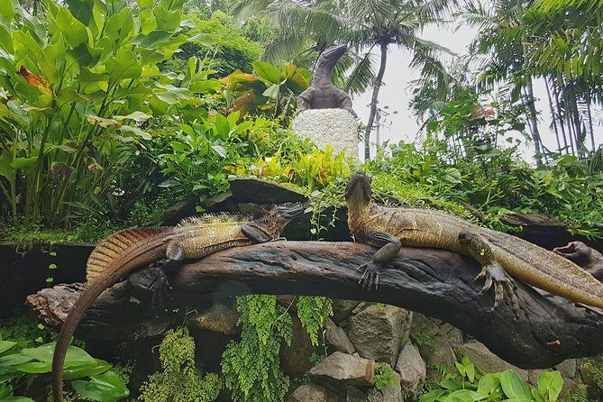 Bali Reptile Park Entrance Ticket - Hands-on moments: holding snakes and meeting iguanas