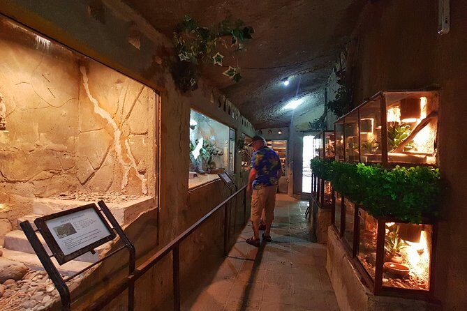 Bali Reptile Park Entrance Ticket - Animal-welfare concerns to consider before you fall in love