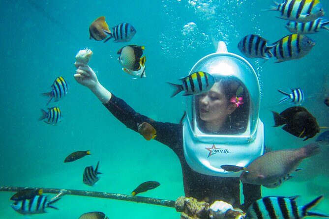 Bali Sea Walker Under Water Experience With Hotel Transfer - Price and Value: Is $32.50 Worth 30 Minutes Underwater?