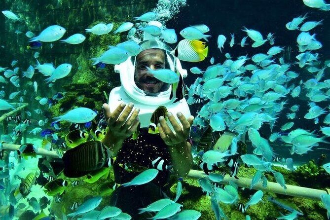 Bali Sea Walker Under Water Experience With Hotel Transfer - Who This Sea Walker Experience Fits Best