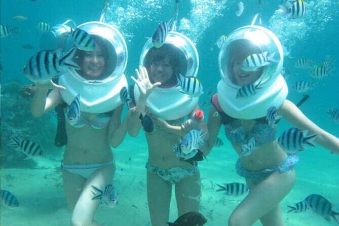 Bali Sea Walker Under Water Experience With Hotel Transfer - What You’ll See: Coral, Fish, and Maybe Hand-Feeding