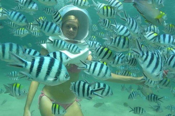 Bali Sea Walking Experience - The underwater walk: fish, a prepared reef, and how long you’re really in