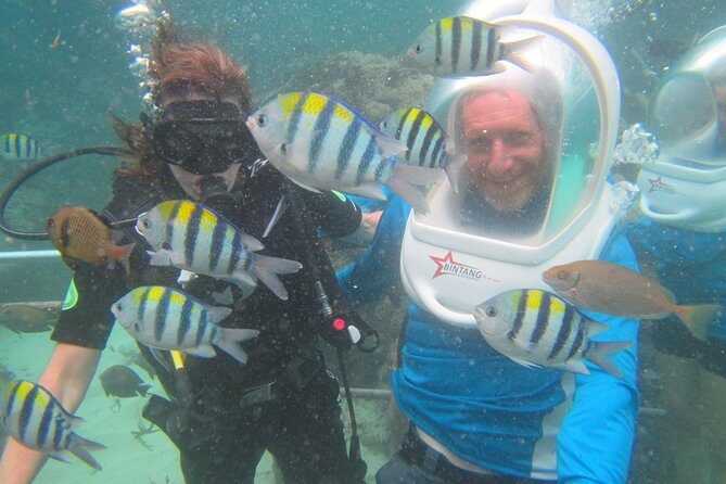 Bali Sea Walking Experience - What you’ll see: fish feeding, railings, and the “close-up” effect