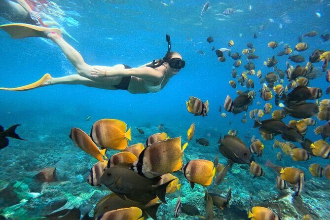 Bali Snorkeling 2 Spot at Blue Lagoon with Lunch & Transport - Key Highlights You’ll Feel Right Away