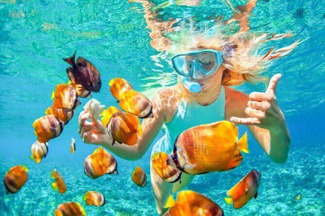 Bali Snorkeling 2 Spot at Blue Lagoon with Lunch & Transport - Why Calm-Water Blue Lagoon Makes Sense for First-Timers