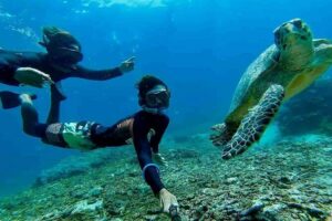Bali Snorkeling 2 Spot at Blue Lagoon with Lunch & Transport - The 6-Hour Route Through Bali: Kuta, Denpasar, and Padangbai