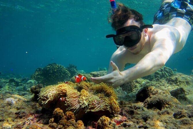 Bali Snorkeling 2 Spot at Blue Lagoon with Lunch & Transport - Lunch Included: A Small Detail That Changes the Day