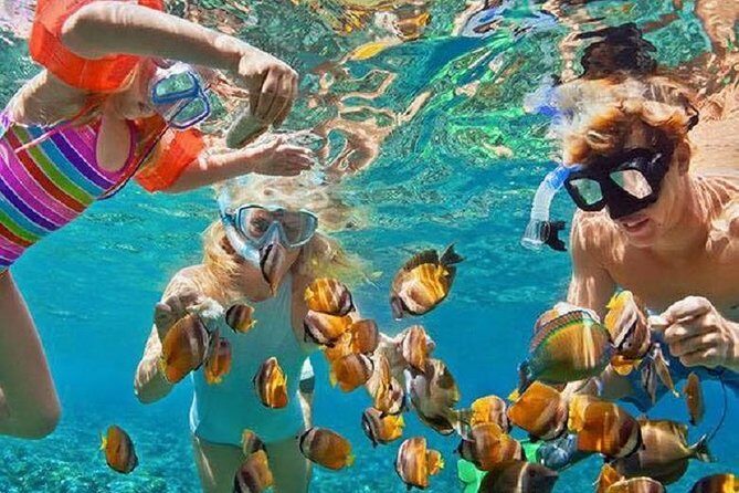 Bali Snorkeling at Blue Lagoon with Transport and Lunch - Key things to know before you go