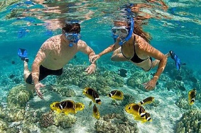 Bali Snorkeling at Blue Lagoon with Transport and Lunch - Blue Lagoon and Tanjung Jepun: what makes this snorkel day work