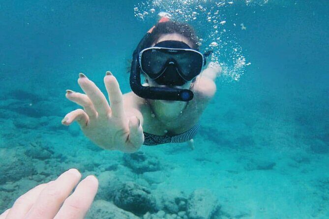 Bali Snorkeling at Blue Lagoon with Transport and Lunch - Who this tour is best for