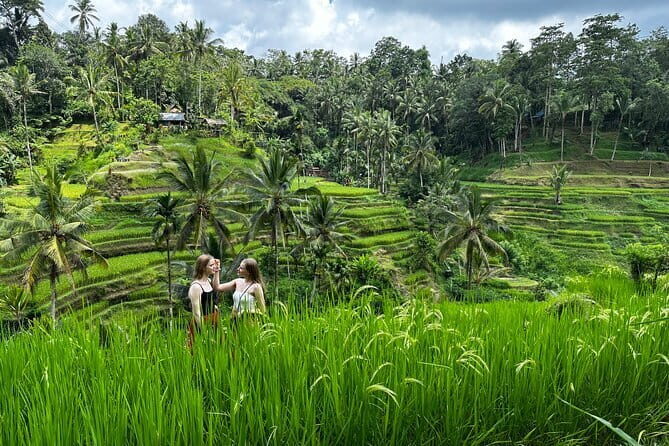 Bali Sunrise Without Hiking: Temples, Rice Terraces & Waterfall - Kintamani Sunrise at Paperhills Cafe: the easy start