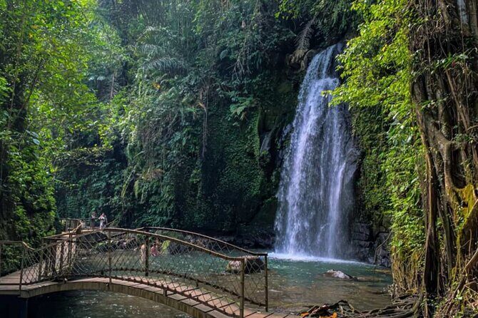 Bali Tirta Empul Tours Experience with Spiritual Cleansing - Price and Value: What $57 Per Person Actually Buys