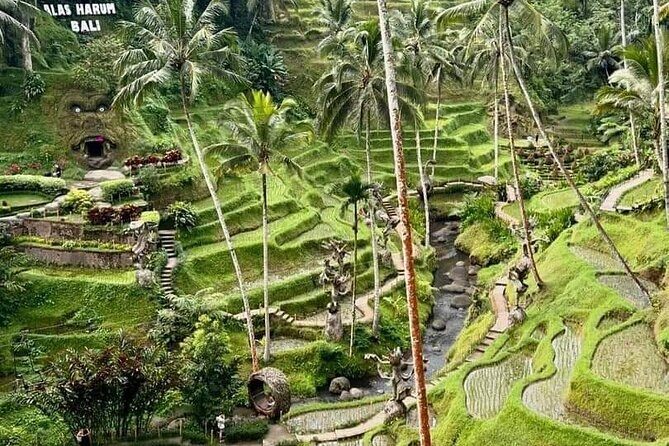 Bali Ubud Private Costomized Tour - Explore Bali your way - Tegalalang rice terraces: the must-see start