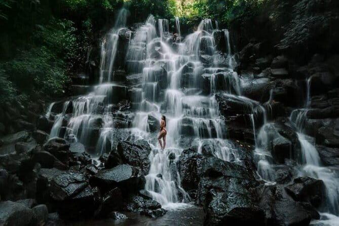 Bali Ubud Tour Monkey Forest, Waterfall, Temple & Rice Terrace - A Day That Links Monkeys, Water, Temples, and Rice