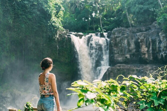 Bali Ubud Tour Monkey Forest, Waterfall, Temple & Rice Terrace - Afternoon Tea at Abian Kusuma Sari Agrowisata