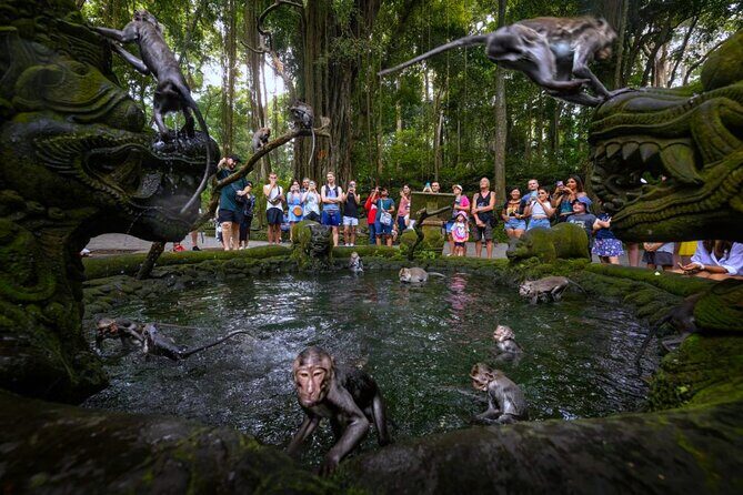 Bali Ubud Zipline, Monkey Forest and Waterfall Adventure - What to Expect at Each Stop (Without the Guesswork)