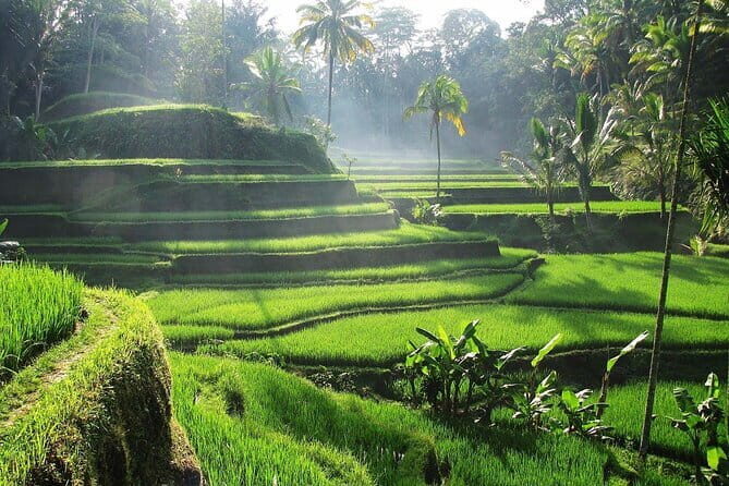 Bali Waterfall in One Day Tours, Hidden Waterfall - All Inclusive - Kanto Lampo: Black Rock, Cliff Water, and Quick Photo Moves