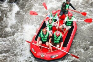 Bali White Water Rafting - Infinity - How the Rafting Runs on the Ayung: Grade II–III With Real Variety
