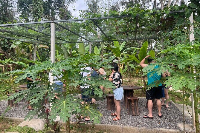 Balinese Cooking Class with Traditional Market Tour - Small Group Size: How Much Help You’ll Get