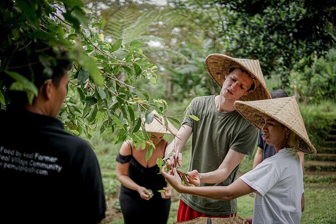 Balinese Farm Cooking Class by Pemulan Bali - The Meal: Coffee, Tea, Recipes, and Leftovers to Take Home