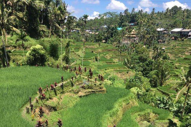 Balinese Life Style Tour - A private Bali drive that feels built for real questions