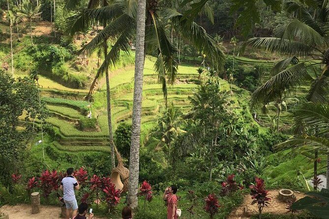 Balinese Life Style Tour - Stop 1: Tegalalang rice terraces and Tirta Empul holy water
