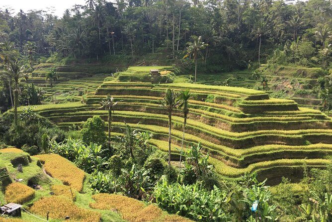 Balinese Life Style Tour - Stop 2: Gunung Kawi Sebatu Temple and spring-water purification