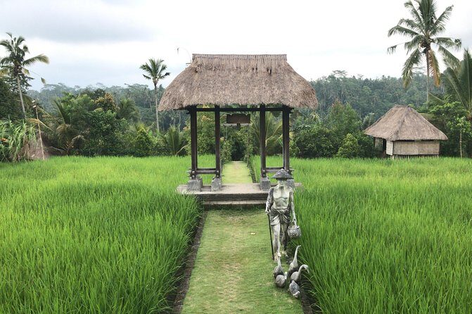Balinese Life Style Tour - Why the guide matters more than the checklist