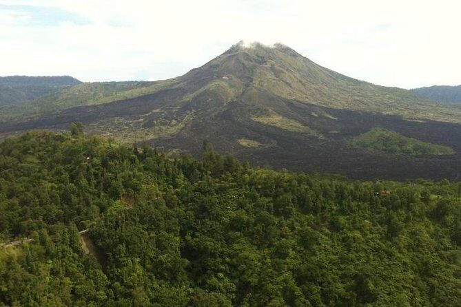 Balinese Life Style Tour - Price and value: $74 for a full car day (plus what to budget)