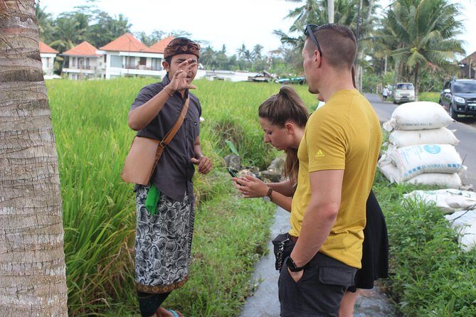 Balinese Ubud cooking school (9 Dish Cooking and Market Tour) - Price and logistics: does $58 feel fair in Ubud?