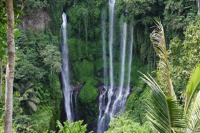 Banyuwana & Banyumala Waterfalls Tour Private - All-Inclusive - The Idea Behind This Day: Waterfalls Plus Real Bali Stops