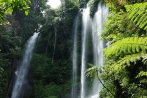 Banyuwana & Banyumala Waterfalls Tour Private - All-Inclusive - Morning Drives: Rice Terraces and Volcano Views Before the Wet Part