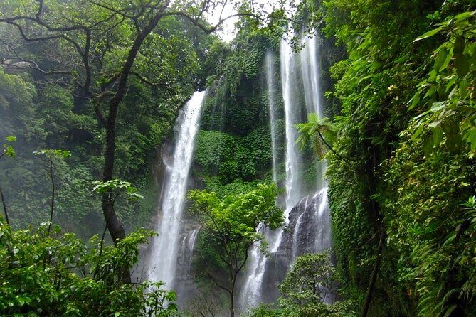 Banyuwana & Banyumala Waterfalls Tour Private - All-Inclusive - The Sekumpul/Sekumpi Waterfall Reward: Where the Trek Turns Into a Swim Day