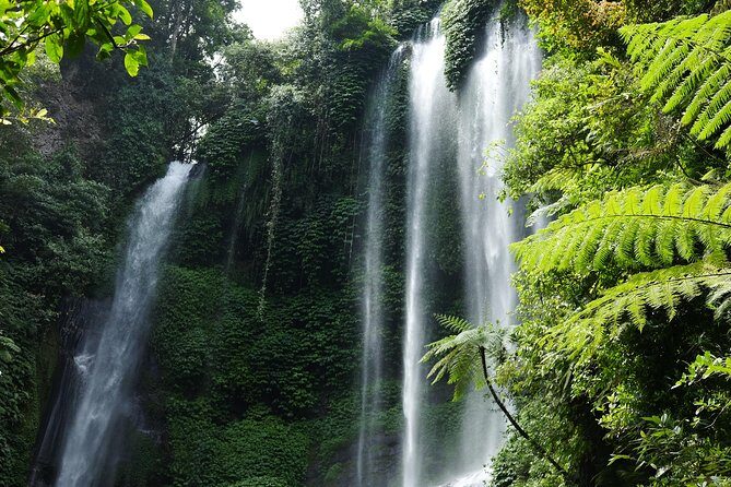 Banyuwana & Banyumala Waterfalls Tour Private - All-Inclusive - Morning Drives: Rice Terraces and Volcano Views Before the Wet Part