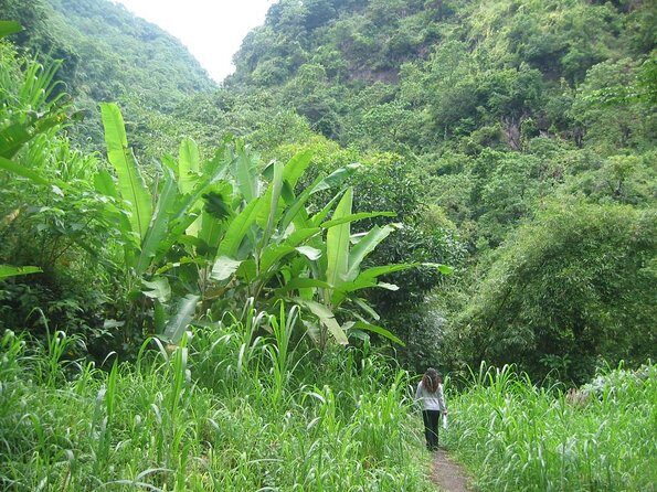 Batur Caldera Sunrise Trekking - Key things that make this Batur sunrise trek worth it