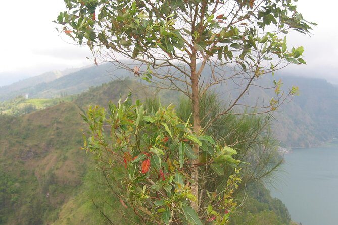 Batur Caldera Sunrise Trekking - Value for about $120: what you’re really paying for