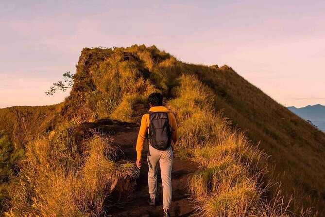 Batur Hike : Mount batur Sunrise Hike & Natural Hotspring - Logistics that matter: private group, mobile ticket, and meeting points
